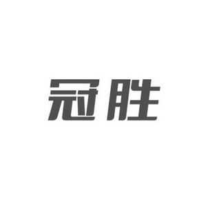 冠胜数码科技（冠胜有限公司）-图2