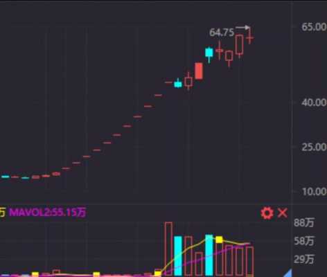 龙宝数码科技股票代码查询（龙宝股份有限公司）-图2