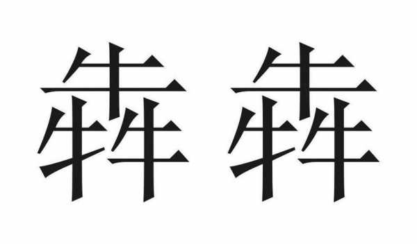 坔砳数码科技（犇犇网络科技公司）-图2