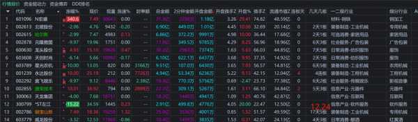 阳飞数码科技股票（飞阳光电股份有限公司）