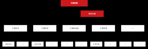 万潮数码科技（万潮数码科技怎么样）-图2