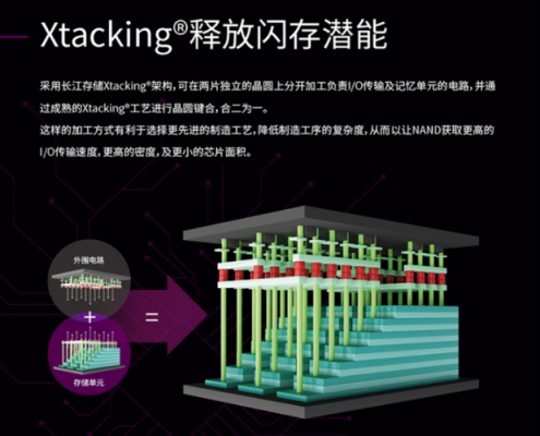 长存数码科技有限公司（长存pe）