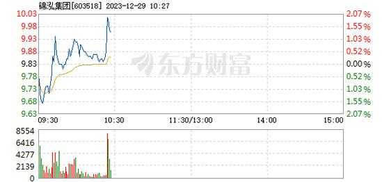 锦宏数码科技股票代码（锦弘集团股票怎么样东方财富吧）-图1