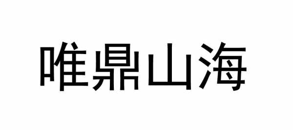 唯鼎数码科技有限公司（唯鼎新科）-图1