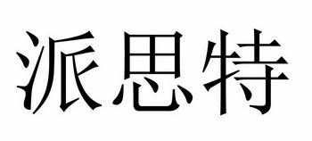 派思特数码科技有限公司（派思股份有限公司）-图2