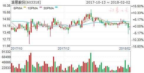 派思特数码科技有限公司（派思股份有限公司）-图3