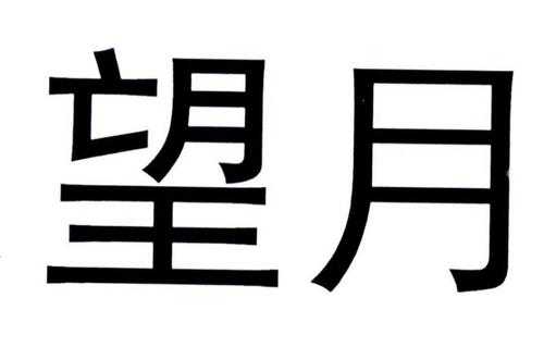 望月数码科技（望月投资有限公司）-图1