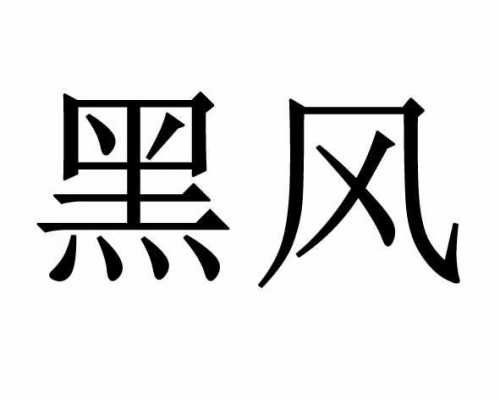 黑风数码科技店铺（黑锋科技logo）-图1