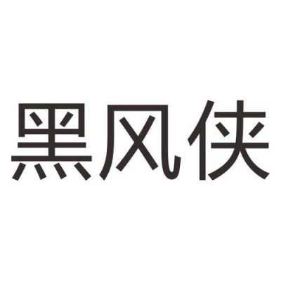 黑风数码科技店铺（黑锋科技logo）-图3