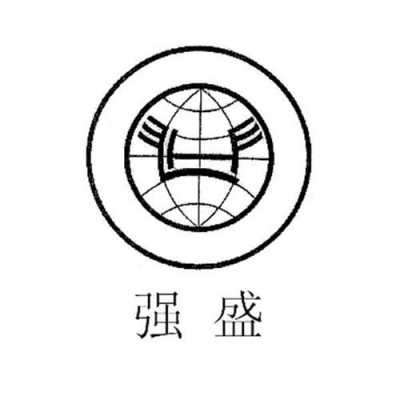 强盛数码科技广告视频（强盛logo）