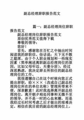 数码科技副总经理辞职（数码科技副总经理辞职报告）