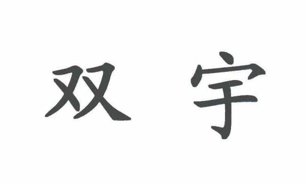 广州双宇数码科技有限公司（广州双宇贸易有限公司）-图3