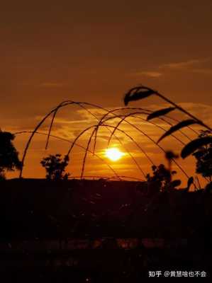 夕阳数码科技怎么样啊（夕阳数码科技怎么样啊知乎）-图1