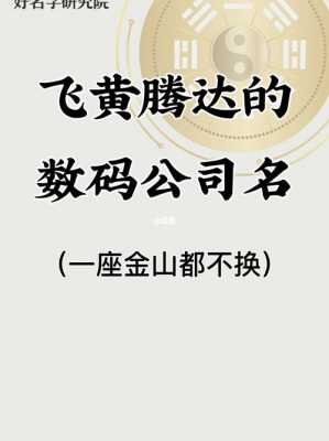 数码科技公司起名怎么起的呢好听（数码科技公司名字大全）-图2