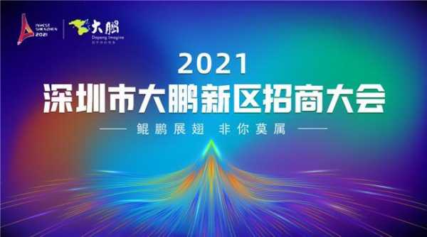 深圳市大鹏新区数码科技有限公司（大鹏科技电话是多少）-图2