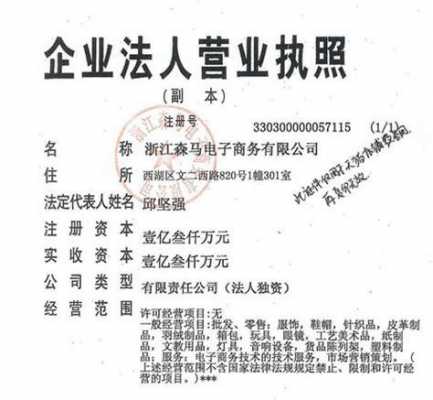 数码科技都有哪些经营范围（数码科技公司的业务是什么）-图2