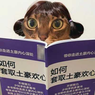 小军数码科技招聘信息查询（小军数码科技招聘信息查询）