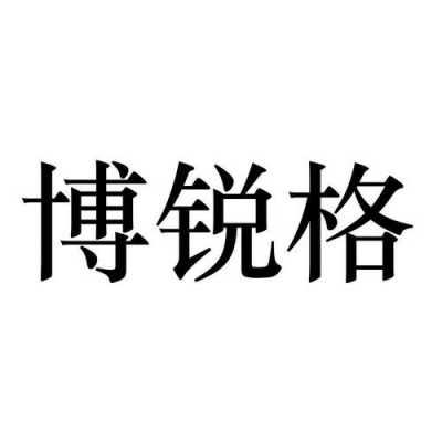 中山锐搏数码科技（中山博锐格精密制造有限公司）