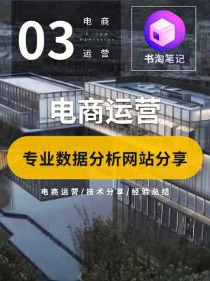 电商运营数码科技公司排名（电商行业数据运营）-图1