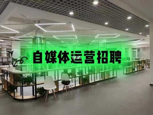 数码科技自媒体招聘官网（数码科技网站）-图3