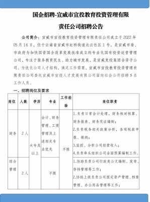 宣杨数码科技有限公司招聘（扬宣电子有限公司怎么样）-图1