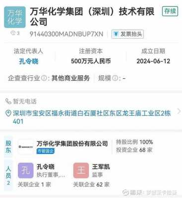 万华数码科技股份有限公司（万华数码科技股份有限公司官网）-图2