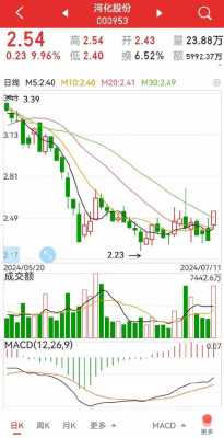 数码科技股票历史最低点是多少（数码科技股票历史最高价）-图3