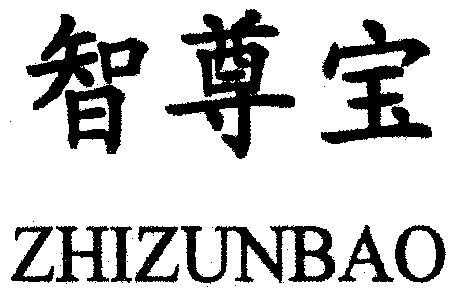 智尊数码科技有限公司（智尊投资有限公司）-图2