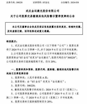 胜龙数码科技推荐产品有哪些（胜龙科技股票简称变为st胜龙）-图3