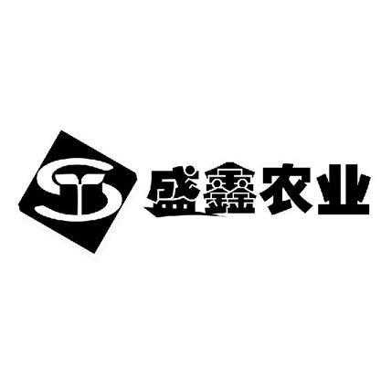 盛鑫数码科技招聘信息最新（盛鑫实业有限公司）