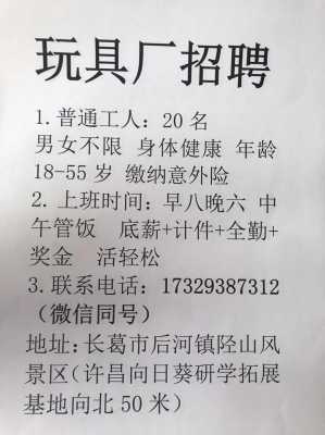 长葛数码科技招聘网络信息（长葛数码科技招聘网络信息查询）