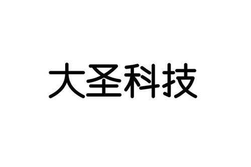 大圣数码科技精选（大圣科技是外包吗）-图2