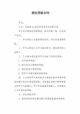 数码科技委托贷款（数码贷是什么）-图3