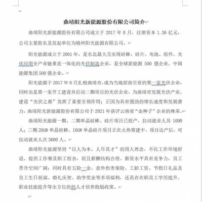 永州阳光数码科技（永州阳光数码科技有限公司招聘）-图2