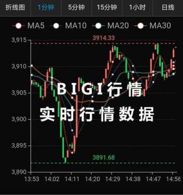 鸿琼数码科技股票（鸿琼是什么意思是什么）