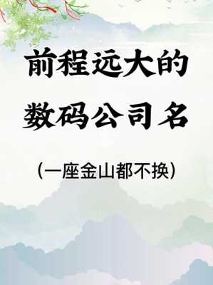 数码科技公司取名怎么取好听一点（数码科技公司取名怎么取好听一点的名字）-图2