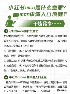 小红书数码科技mcn榜（小红书mcn机构是做什么的）-图3